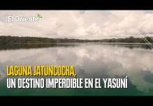 Jatuncocha, la laguna ubicada en el corazón del Yasuní 