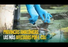 Las provincias amazónicas son las más afectadas por la bacteria E. coli