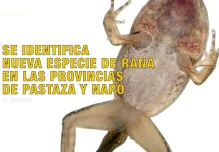 Noticias de Ecuador. Noticiero Noti Oriente [29 de diciembre de 2025]