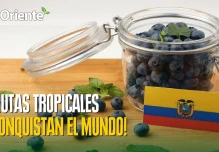 Noticias de Ecuador. Podcast Noti Oriente [17 de octubre de 2025]