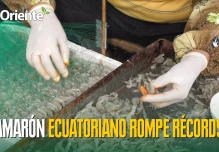 Noticias de Ecuador. Podcast Noti Oriente [24 de octubre de 2025]