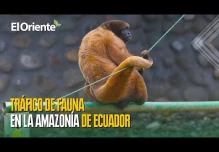 Noticias de Ecuador hoy. Podcast Noti Oriente [28 de junio, 2024]