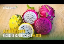 Noticias de Ecuador. Podcast Noti Oriente [15 de marzo, 2024] 