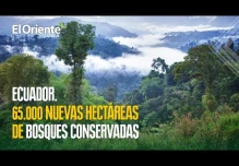 Noticias de Ecuador. Podcast Noti Oriente [15 de septiembre, 2023] 