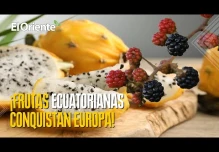 Noticias de Ecuador. Podcast Noti Oriente [16 de mayo de 2025] 