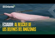 Noticias de Ecuador. Podcast Noti Oriente [2 de mayo de 2025]