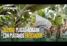 Noticias de Ecuador. Podcast Noti Oriente [20 de junio de 2025]