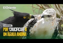 Noticias de Ecuador. Podcast Noti Oriente [7 de junio, 2023]