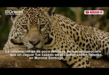 Noticias Ecuador. Noticiero El Oriente 03-12-2021