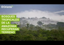Noticias Ecuador. Noticiero El Oriente 29-10-2021