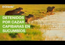 Noticias Ecuador. Podcast Noti Oriente 14-10-2022