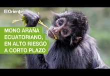 Noticias Ecuador. Podcast Noti Oriente 20-01-2023