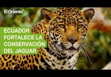 Noticias Ecuador. Podcast Noti Oriente 30-11-2022