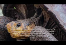 Noticiero Semanal El Oriente Ecuador 28-05-2021