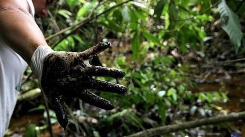 Un informe elaborado por un equipo de científicos norteamericanos determinó que la petrolera Chevron causó contaminación tóxica en Ecuador (Archivo: Difusión) Un informe elaborado por un equipo de científicos norteamericanos determinó que la petrolera Chevron causó contaminación tóxica en Ecuador (Archivo: Difusión)