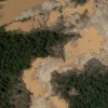 Perú enfrenta desafíos para controlar la exportación de minerales críticos