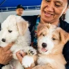 En Guayarte se realizará feria de adopción de cachorros
