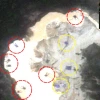 Imágenes satelitales revelan avance de la minería ilegal en Tambopata pese a operativos del Estado