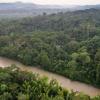 TNC contabilizó 197 especies de peces en Nushino-Curaray-Villano 