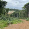 Guyana obtuvo $ 989,9 millones por la producción de oro en 2024
