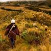 Ecuador lanzó el primer 'token' ambiental