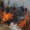 Loja: Un incendio forestal consume 1.174 hectáreas en 5 días