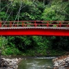 Orellana: Puente está listo para su inauguración