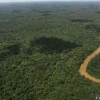 ¿Venderá Ecuador partes del Amazonas a China para que explote sus recursos?