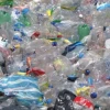 Las botellas de plástico se cambian por pasajes de bus en Guayaquil 
