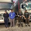 Retienen camiones con madera ilegal en operativo ambiental en Sucumbíos
