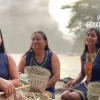 Ecuador recibe reconocimiento del PNUD por acción climática 