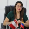 Gobierno envió a la Asamblea ley energética