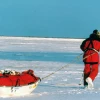 OMM advierte sobre rápidos cambios en los Polos, "gigante dormido" del cambio climático
