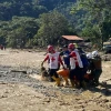 Desbordamiento del río Zamora deja desaparecidos, heridos y daños en la parroquia Guadalupe