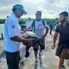 Hallan en Galápagos una especie de tortuga que se creía extinta desde hace más de un siglo