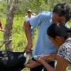 Ganaderos de Napo se capacitaron en buenas prácticas pecuarias y ambientales