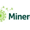 Mineros aumentó 13 % sus ventas de oro en el segundo trimestre de 2026