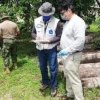 Presos de Sucumbíos harán féretros para víctimas de Covid-19