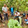 Napo: Productores de cacao en Pano fueron capacitados