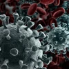 Virus de noticias falsas en América Latina
