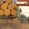 La UE eximió a Latinoamérica de su lista contra las exportaciones que generan deforestación