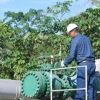 14 petroleras privadas operan en Ecuador en 2025 