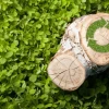 Dendroenergía como potencial energético en el sector agrícola del Ecuador