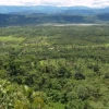 Pastaza: Paz Yaku conserva el bosque 