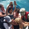 Un tiburón atacó a una turista en Galápagos