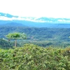 Pastaza promueve sus ritos y tradiciones
