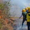 La campaña de prevención de incendios forestales fue presentada