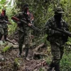 Siete narcoguerrillas estarían operando en la frontera Ecuador-Colombia