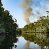 Colombia: Corte Constitucional suspendió licencias en Orinoquía y la Amazonía 