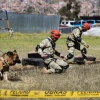Gobierno amplía Estado de Emergencia en la frontera de Loreto